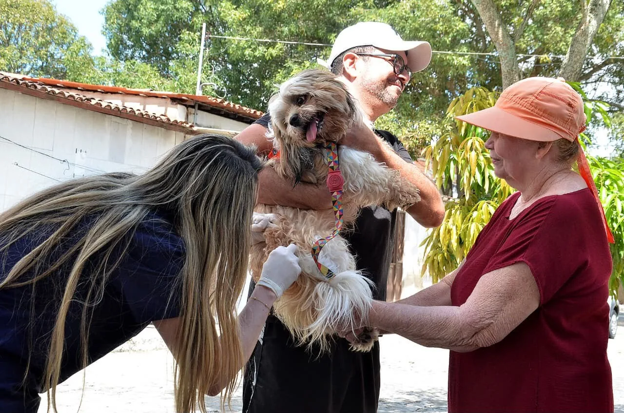 Campina Grande realiza segundo 'Dia D' de vacinação antirrábica