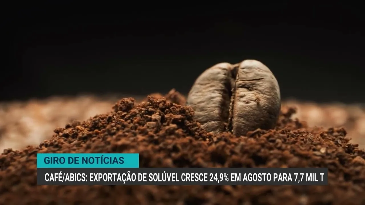 União Europeia avança em negociações para importação de frango brasileiro