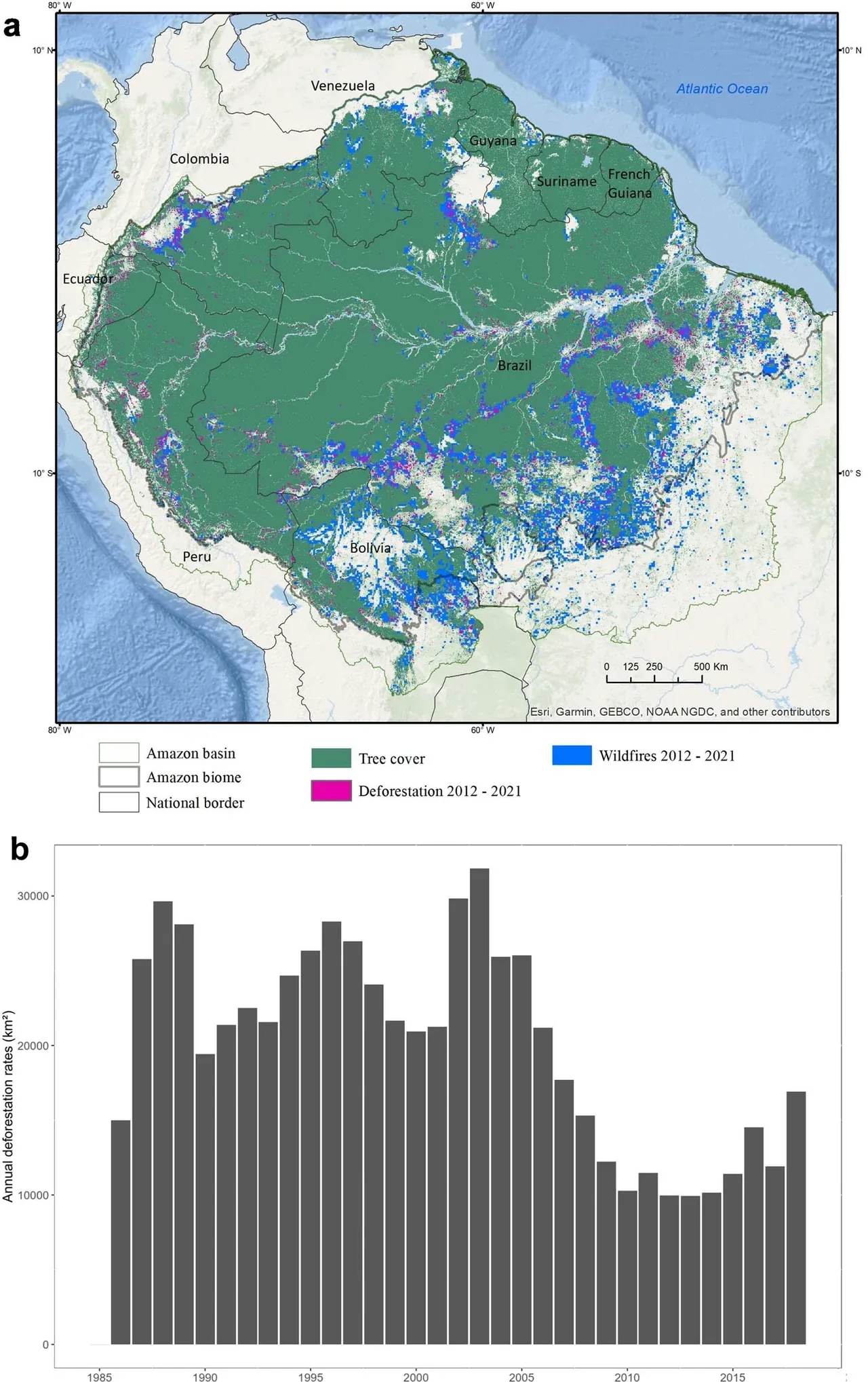 Florestas amazônicas não se recuperam sozinhas após incêndios