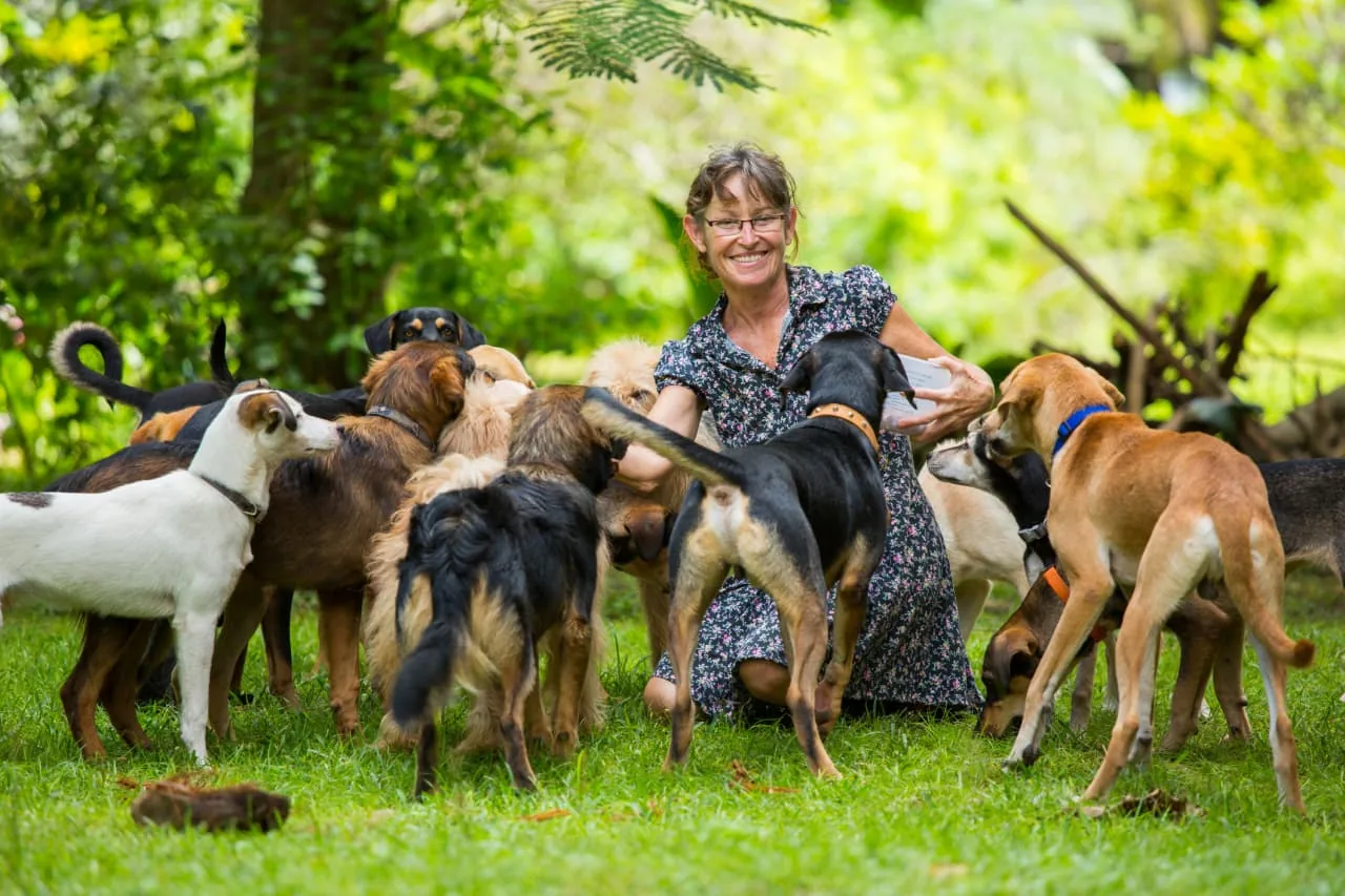 Pet-sitting: Como um negócio lucrativo pode ser gerenciado