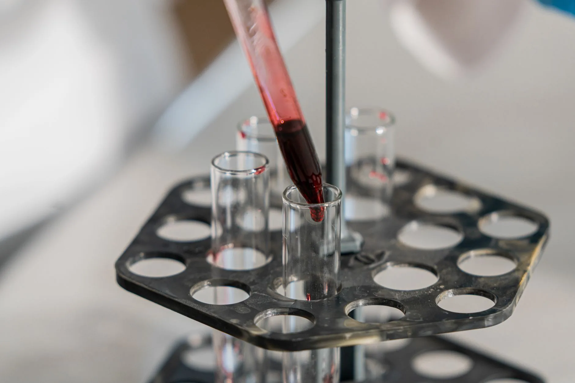 Morphotonics eleva capital para expandir tecnologia de exibição para centros de dados