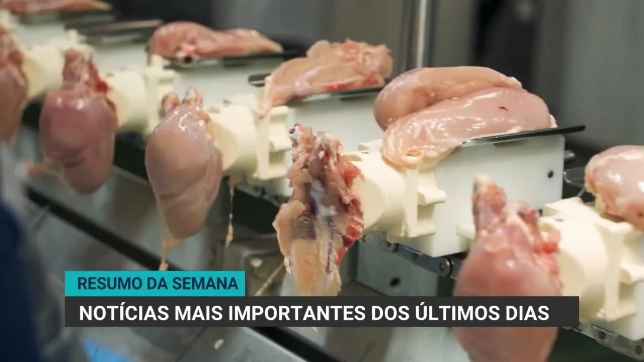 Crédito rural no Brasil cai 26% em 12 meses