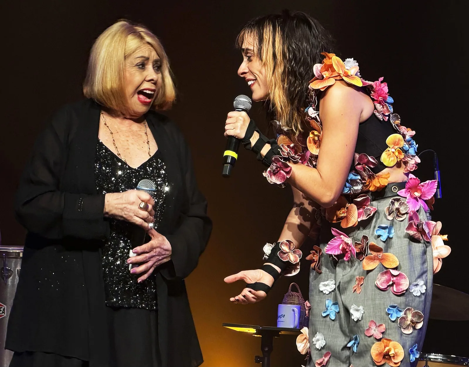 Anastácia e Juliana Linhares se unem em show no Teatro da UFF