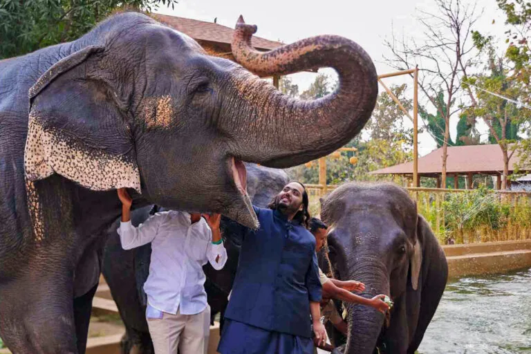 Organizações ambientais pedem fim permanente das importações de animais silvestres pelo zoológico Vantara