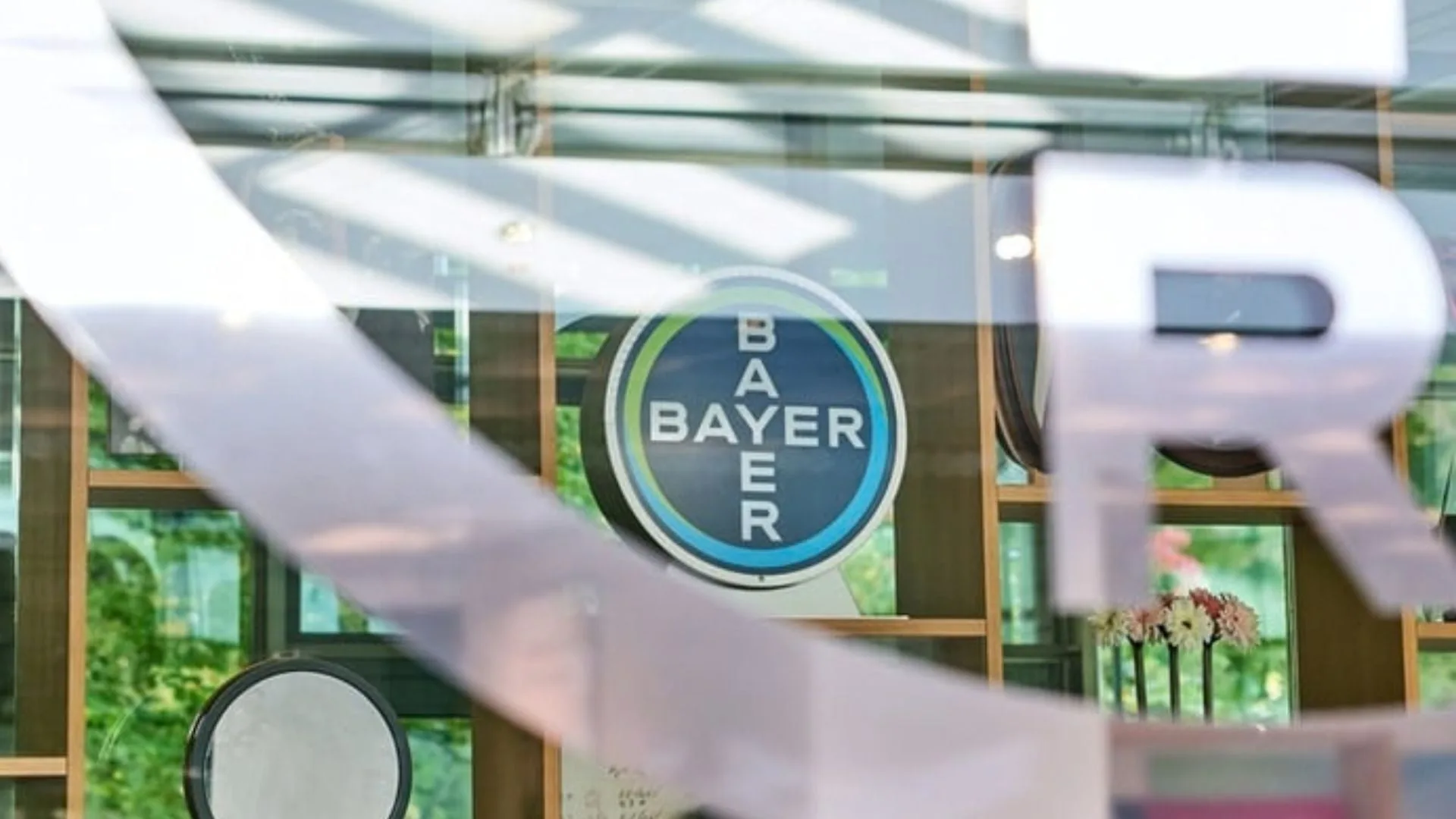 Bayer abre inscrições para trainee com salário de R$ 18,9 mil