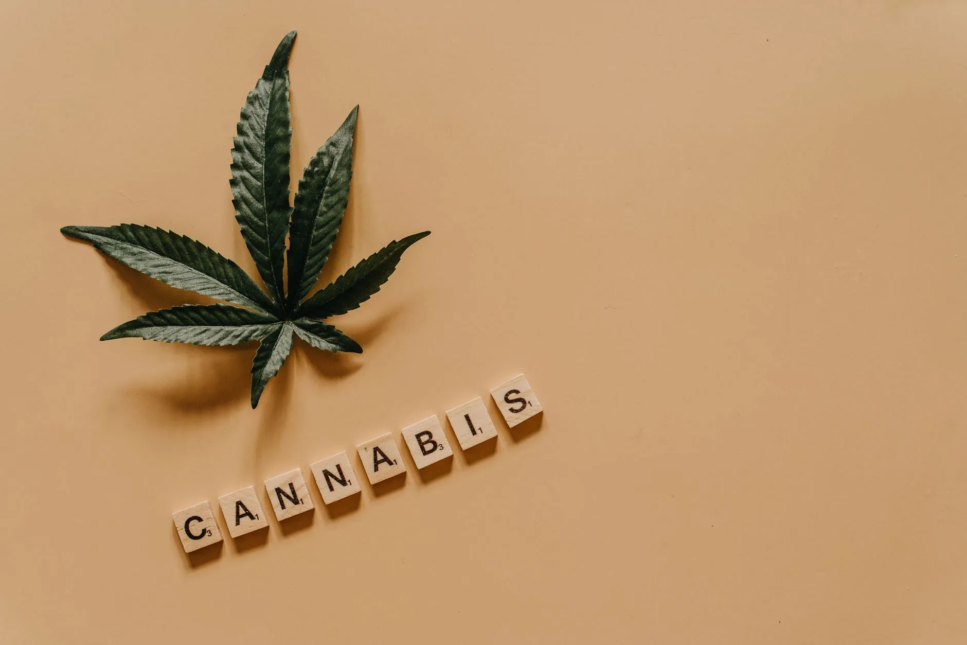 Perguntas e respostas: Cannabis Medicinal e Saúde