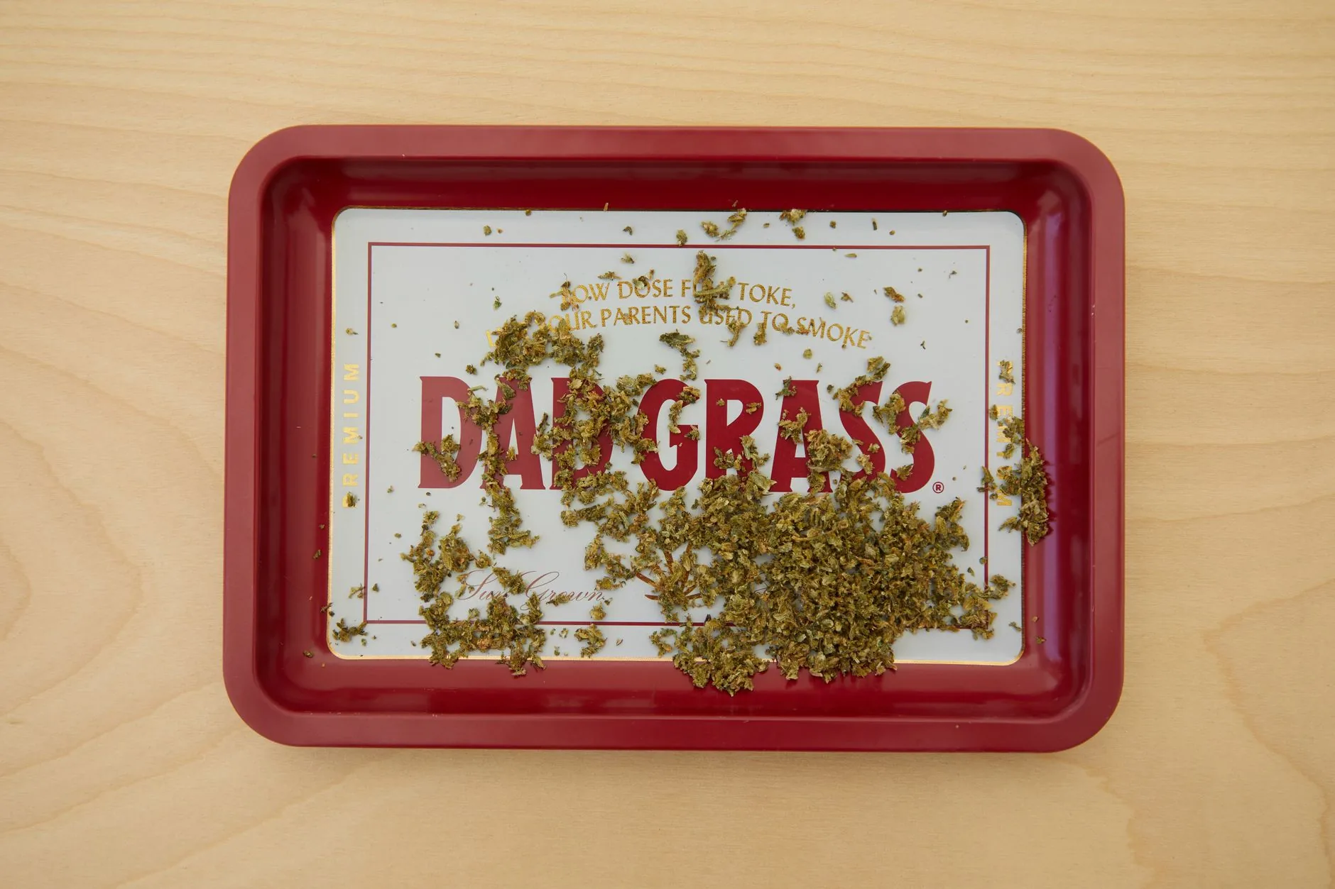 Bedrocan holandesa falhou: impacto na distribuição de cannabis medicinal no Brasil