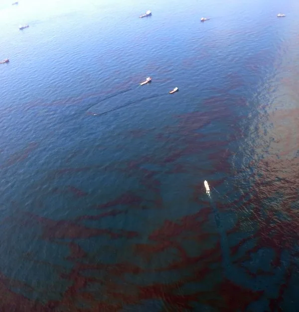Quatorze anos após Deepwater Horizon, vida marinha profunda ainda não se recuperou
