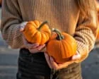 Drought Affects Pumpkin Harvest for Halloween