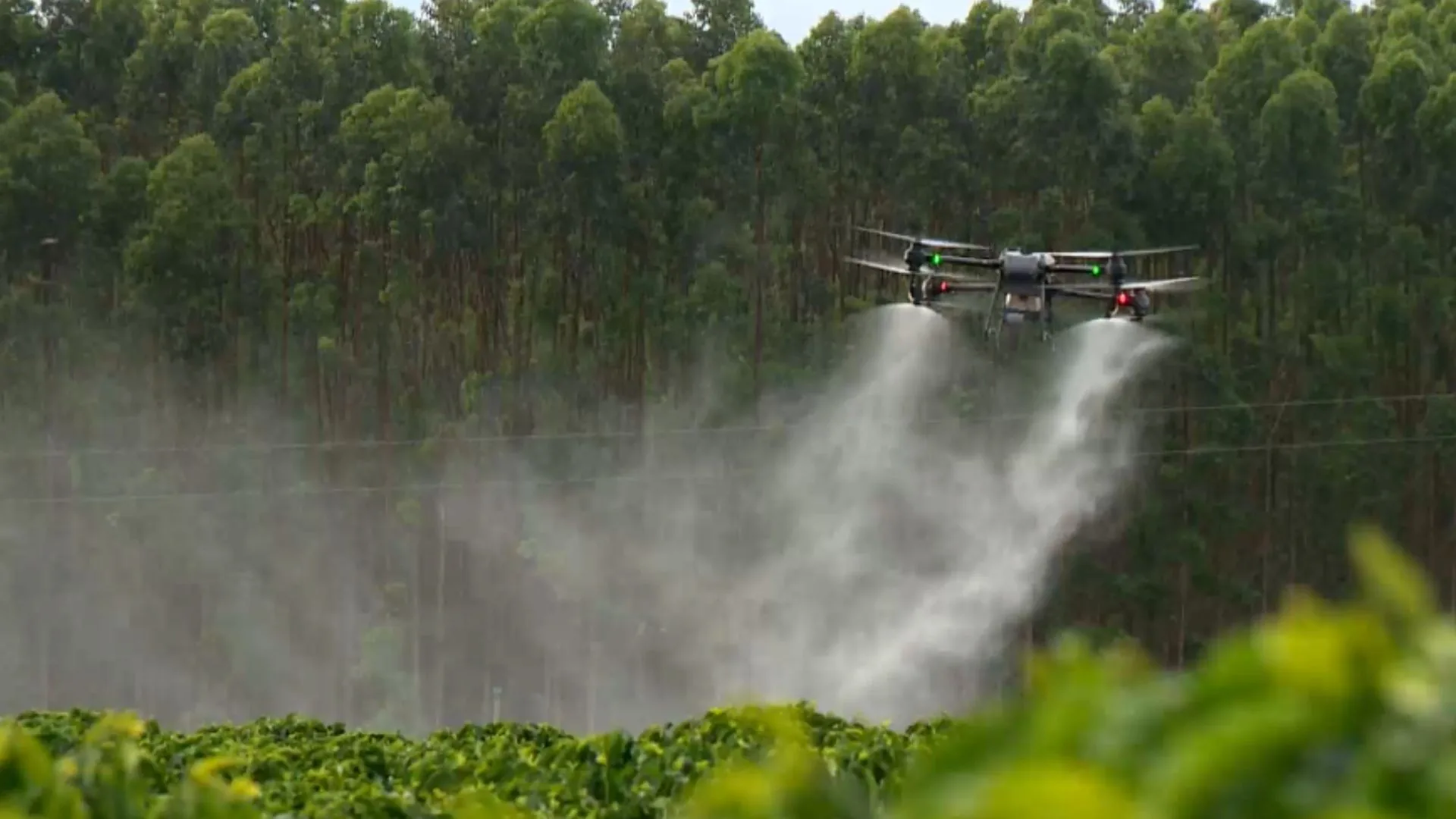 União Europeia quer flexibilizar regras para agrotóxicos