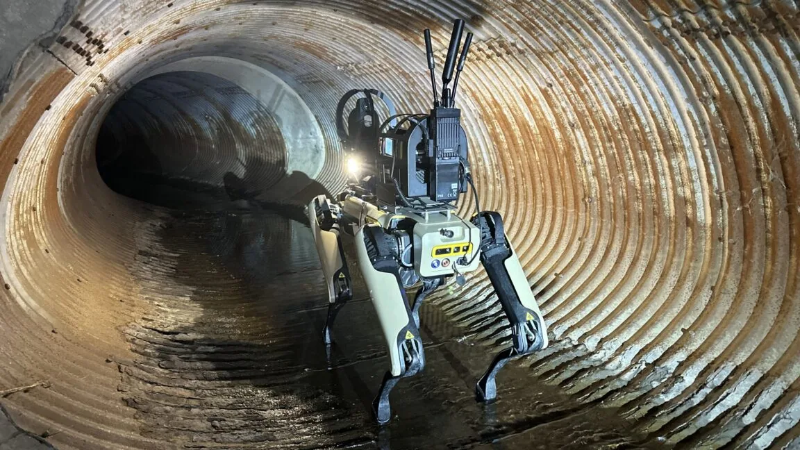 Boston Dynamics funcionários protestam contra venda de robôs a ICE