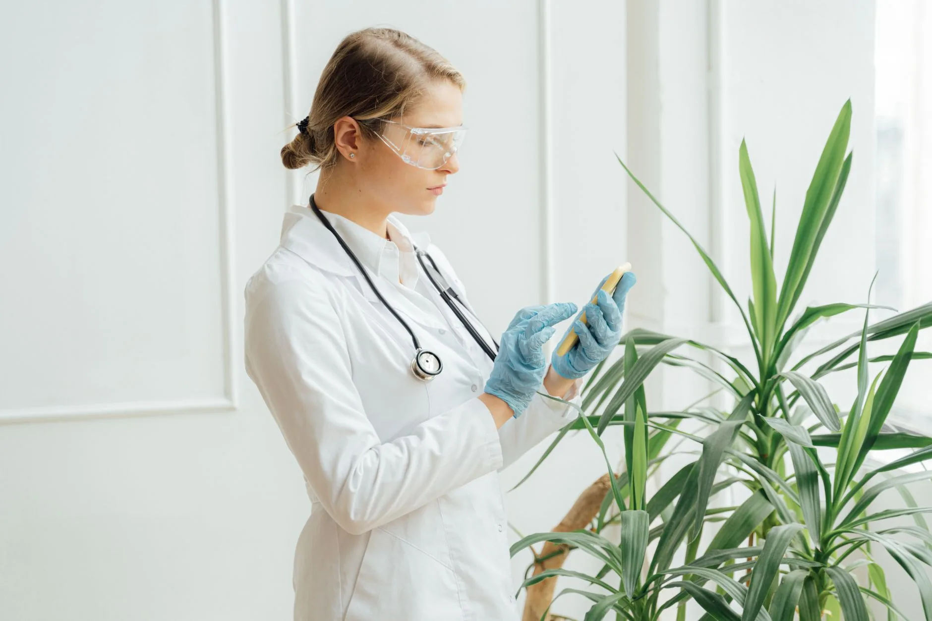 OMMA amplia recall de lote misturado de cannabis medicinal