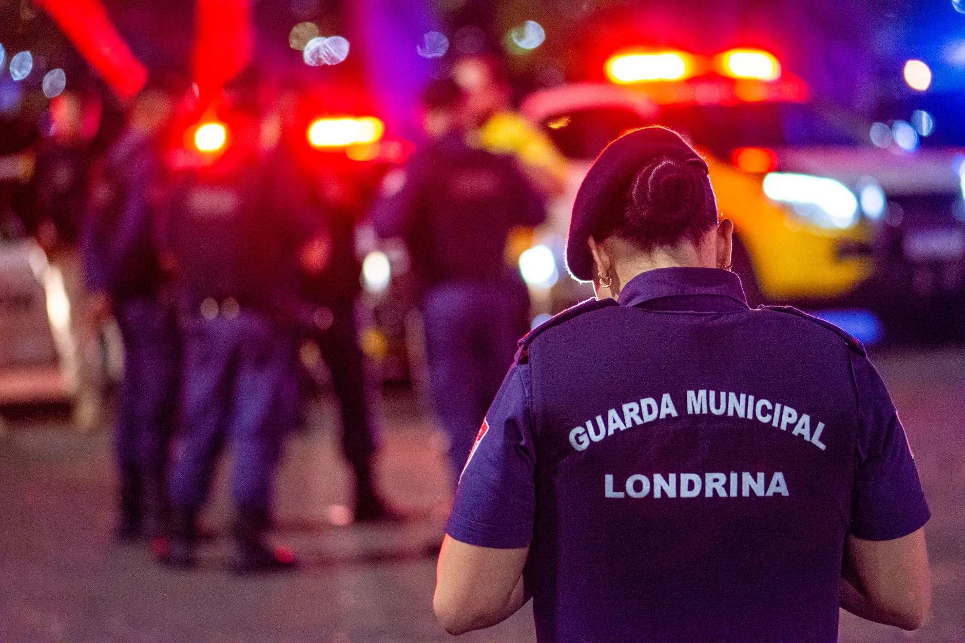 A Complexidade da Segurança Pública: Uma Análise