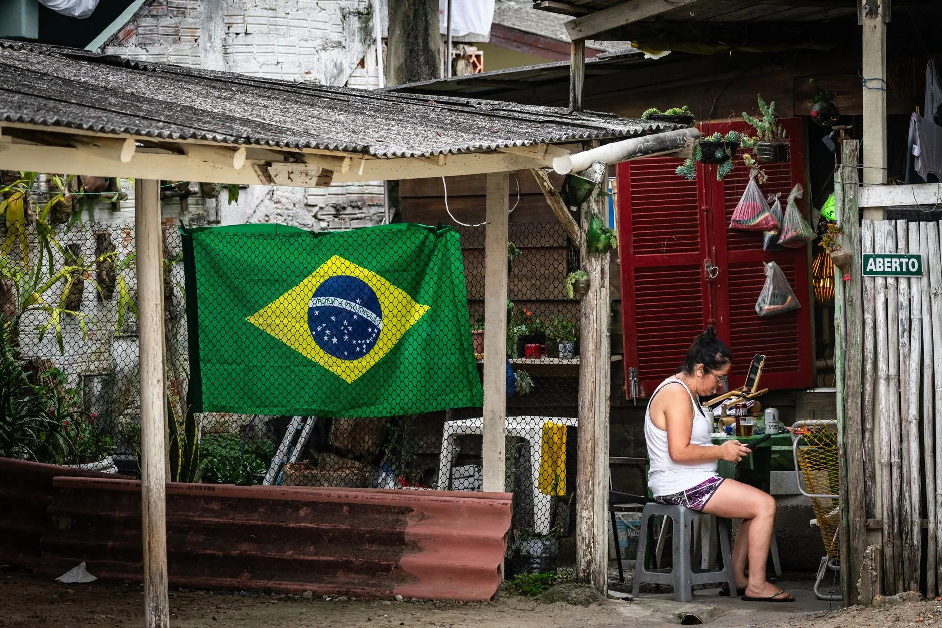 Análise: Impactos Socioeconômicos e Políticas Públicas no Brasil
