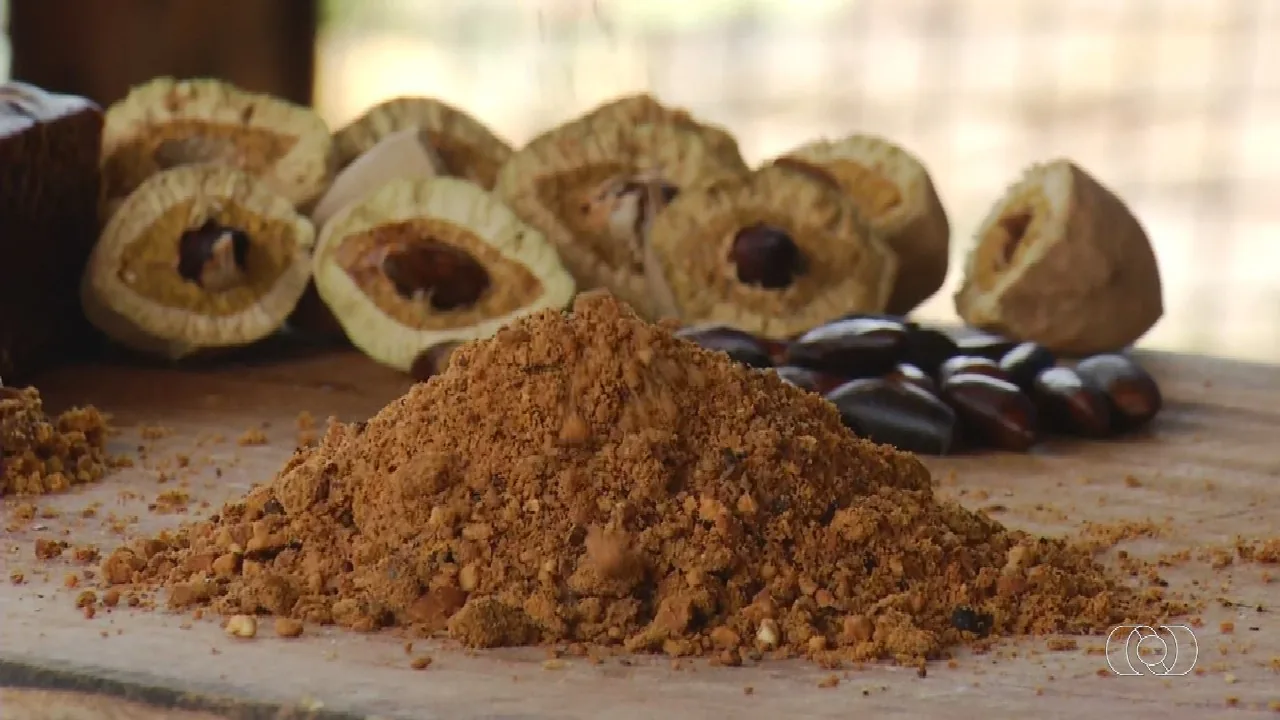 Paçoca de baru: Sabores do Campo ensina receita tradicional do Cerrado