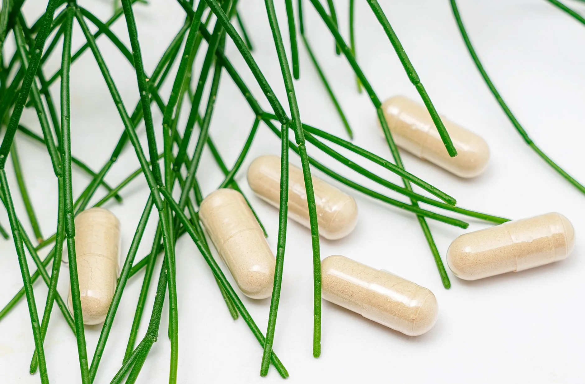 Regulamentação da cannabis medicinal no Brasil: por que o mercado ainda não se desenvolve?
