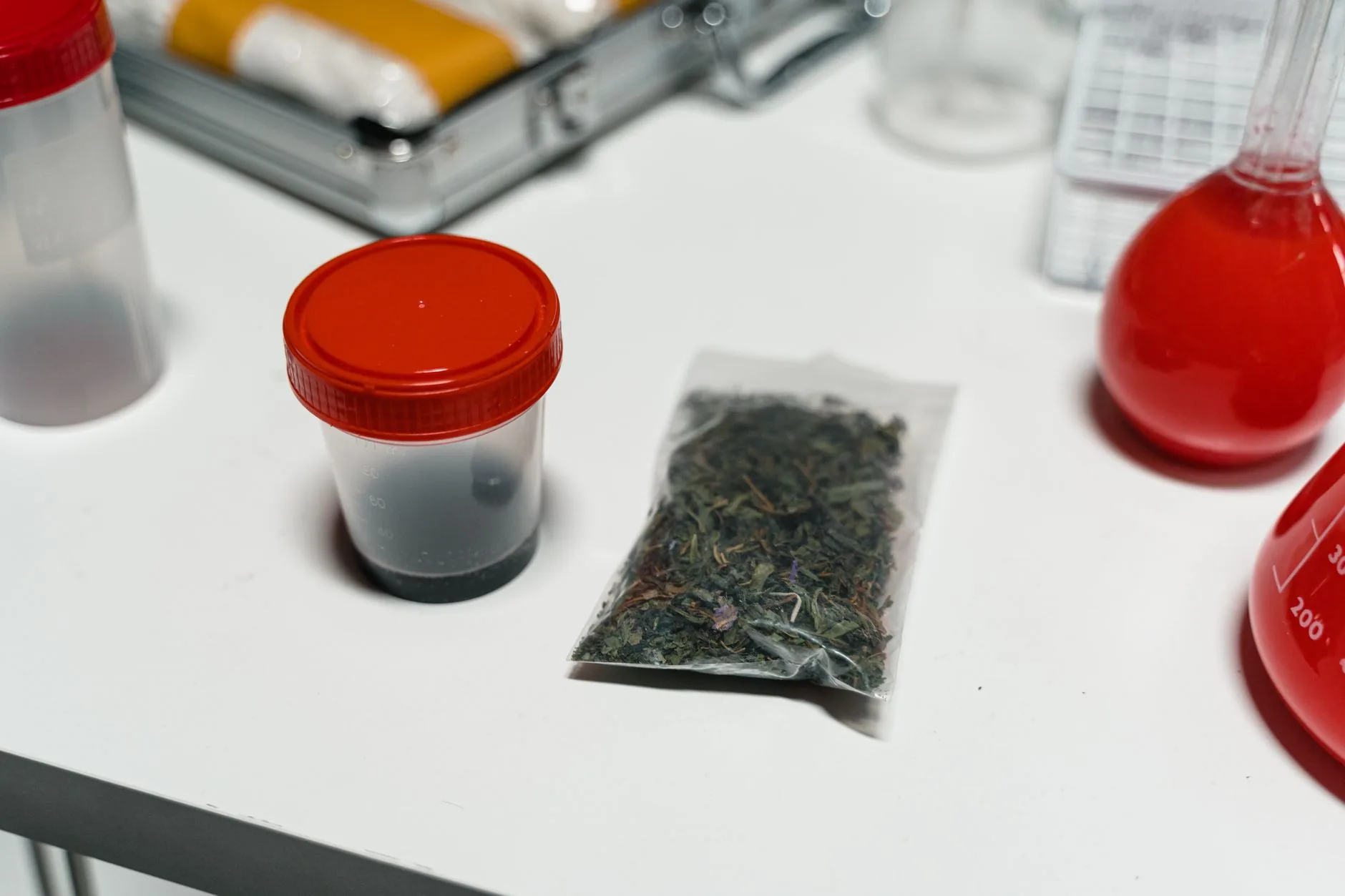 Argentina amplia infraestrutura para cannabis medicinal com novo laboratório