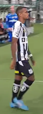 Palmeiras fica no zero com Santos e Flamengo agradece
