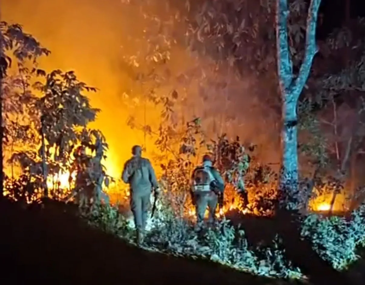 Prefeitura de Santarém pede ajuda à Polícia Civil para investigar incêndios criminosos