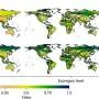 Menos de 10% das grandes empresas usam indicadores de biodiversidade