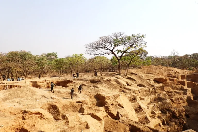 Nigéria expulsa milhares de mineradores ilegais de parque nacional