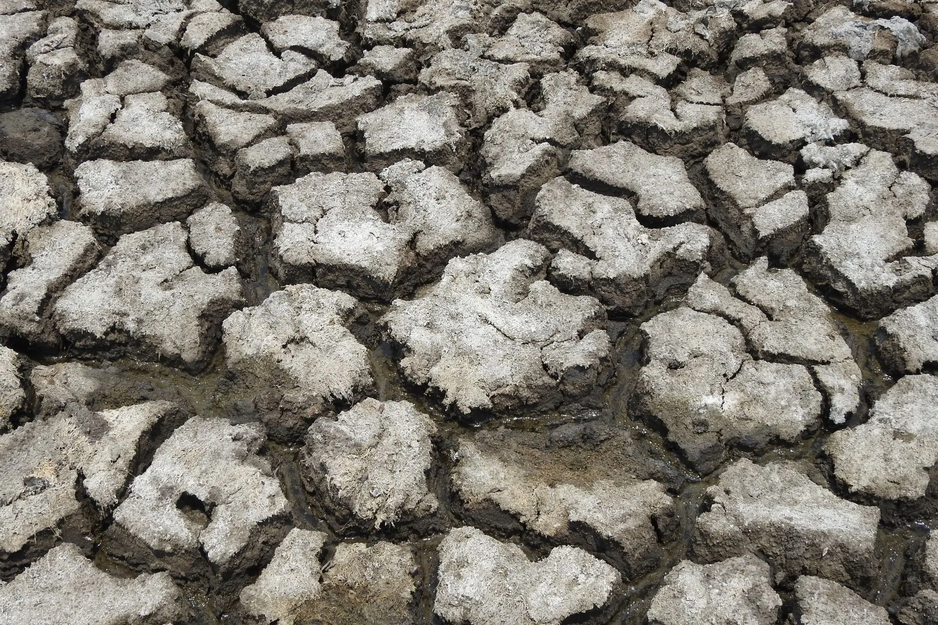Nossos modelos climáticos têm um grande e perigoso ponto cego