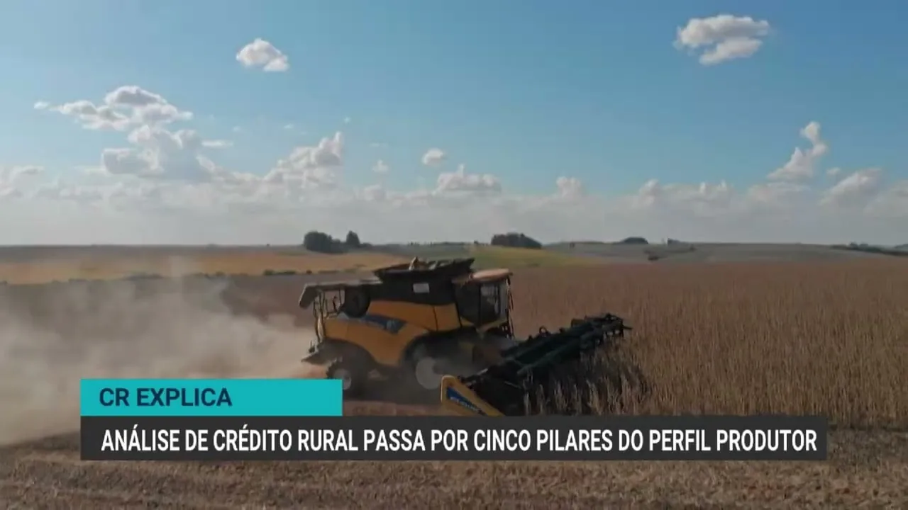 Crédito rural: cinco pilares essenciais para concessão de financiamento