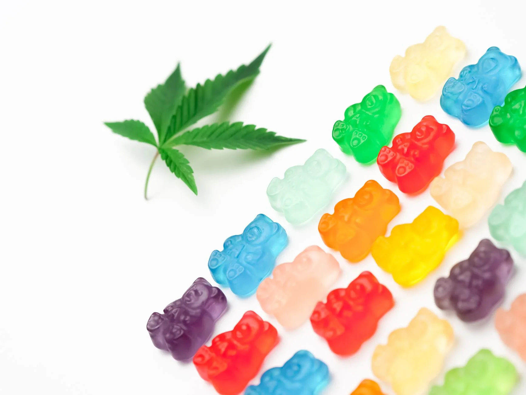 College Students in Sydney Explore CBD Gummies for Anxiety Relief