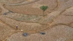El Niño intensifica eventos climáticos globais