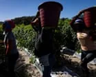 Trabalhadores norte-americanos buscam proteções contra calor extremo