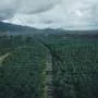 Indonésia investiga queda de suposto fragmento de foguete chinês