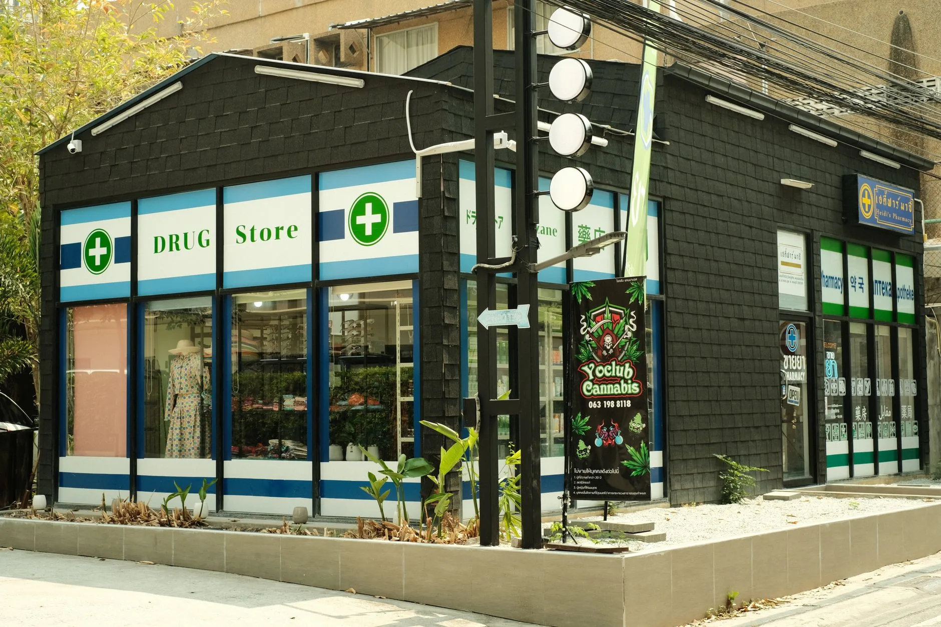 Pays-Bas: atraso de dez meses na aprovação de cannabis medicinal