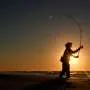Pesca do bacalhau-estriado ameaça colapsar