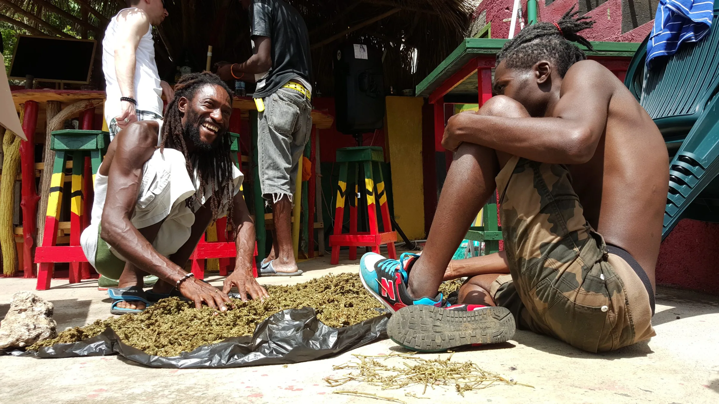 Jamaica Abre Novo Caminho para Cultivadores Locais com Nova Reforma
