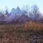 Bobwhite quail sightings mark progress in habitat restoration