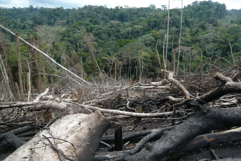 Angola cria área protegida na Serra do Pingano diante da perda rápida de floresta