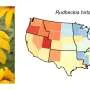 Espécies vegetais têm riscos climáticos regionais