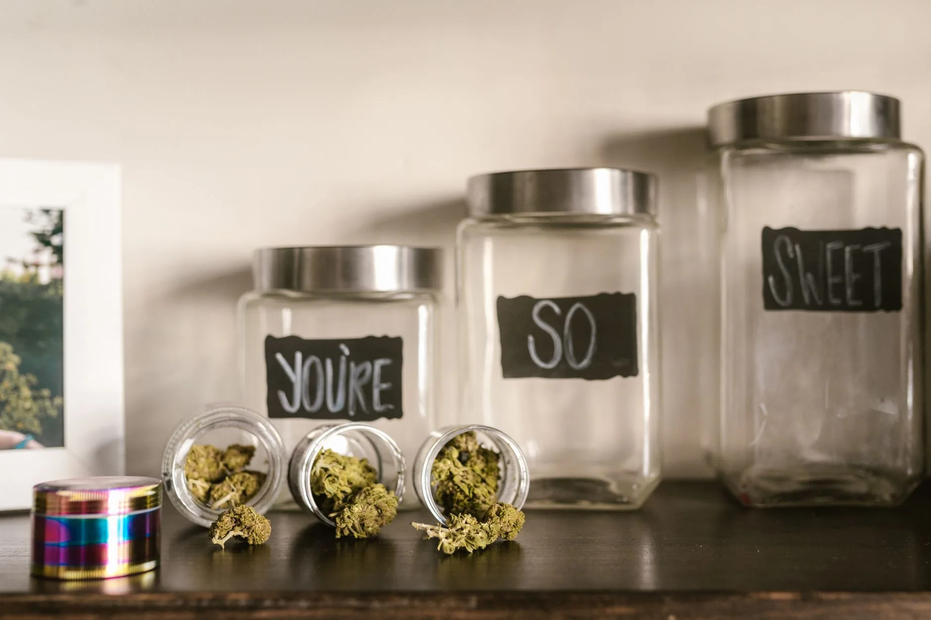 Florida deve regular bebidas com THC para mostrar ao país que legalização é melhor que proibição