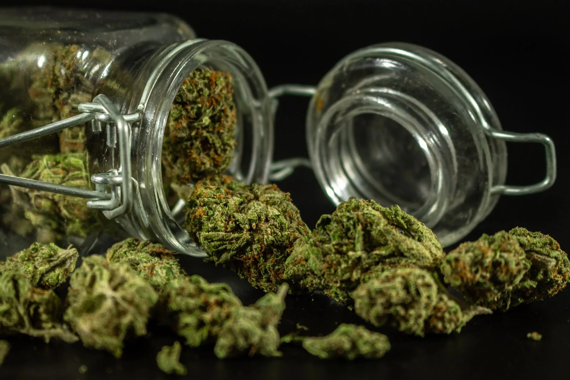 Perguntas e respostas: Saúde e Cannabis Medicinal