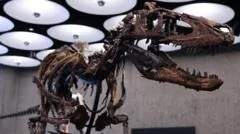 Nanotyrannus skeleton auctioned for $47.3m in New York