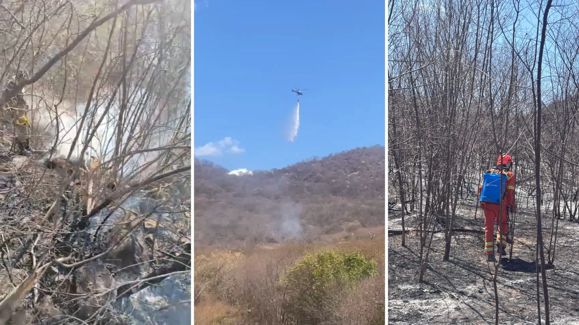Incêndio no Sertão da Paraíba é controlado após destruir cerca de 800 hectares de vegetação