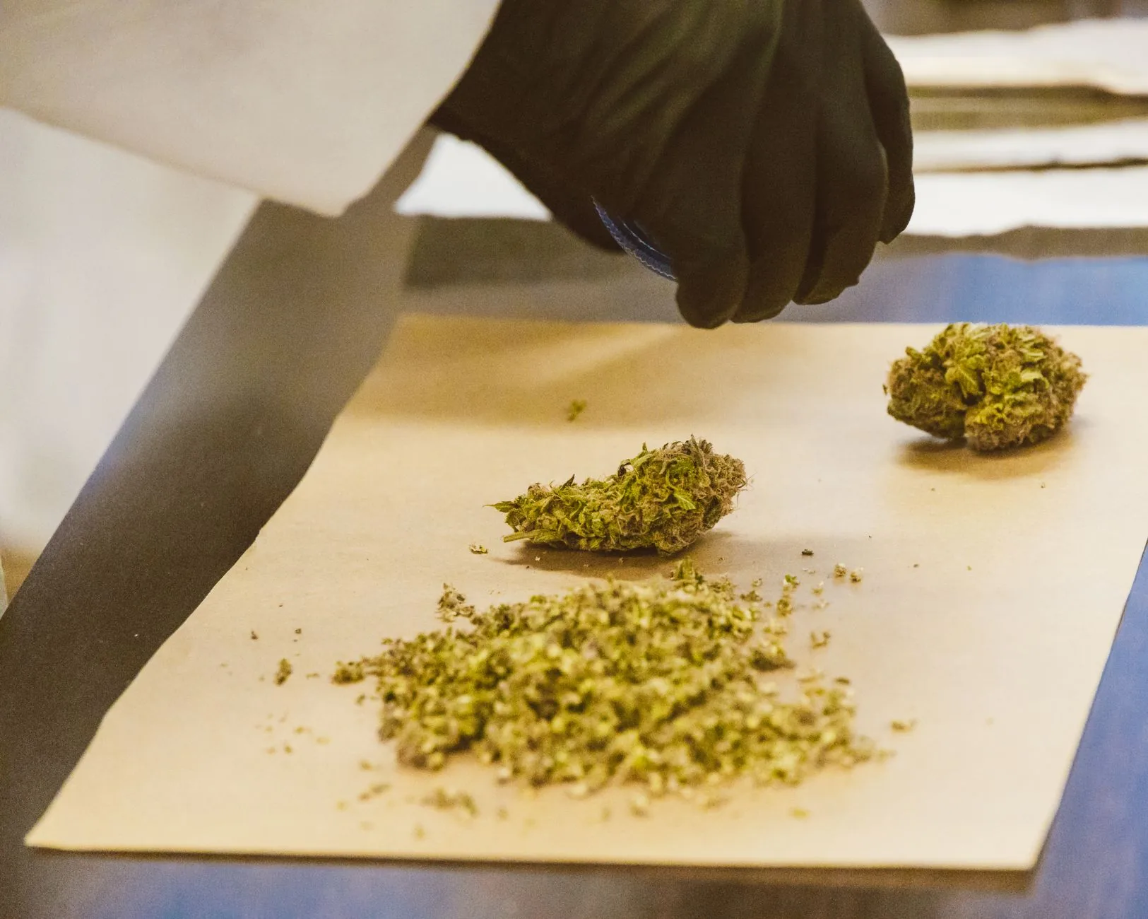Eleitores de Kansas apoiam legalização da cannabis medicinal; candidatos à governadoragem dividem-se