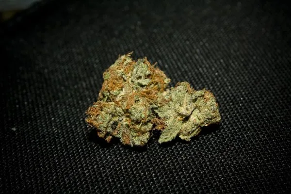 Óbito em incêndio levanta questionamentos sobre uso de cannabis medicinal