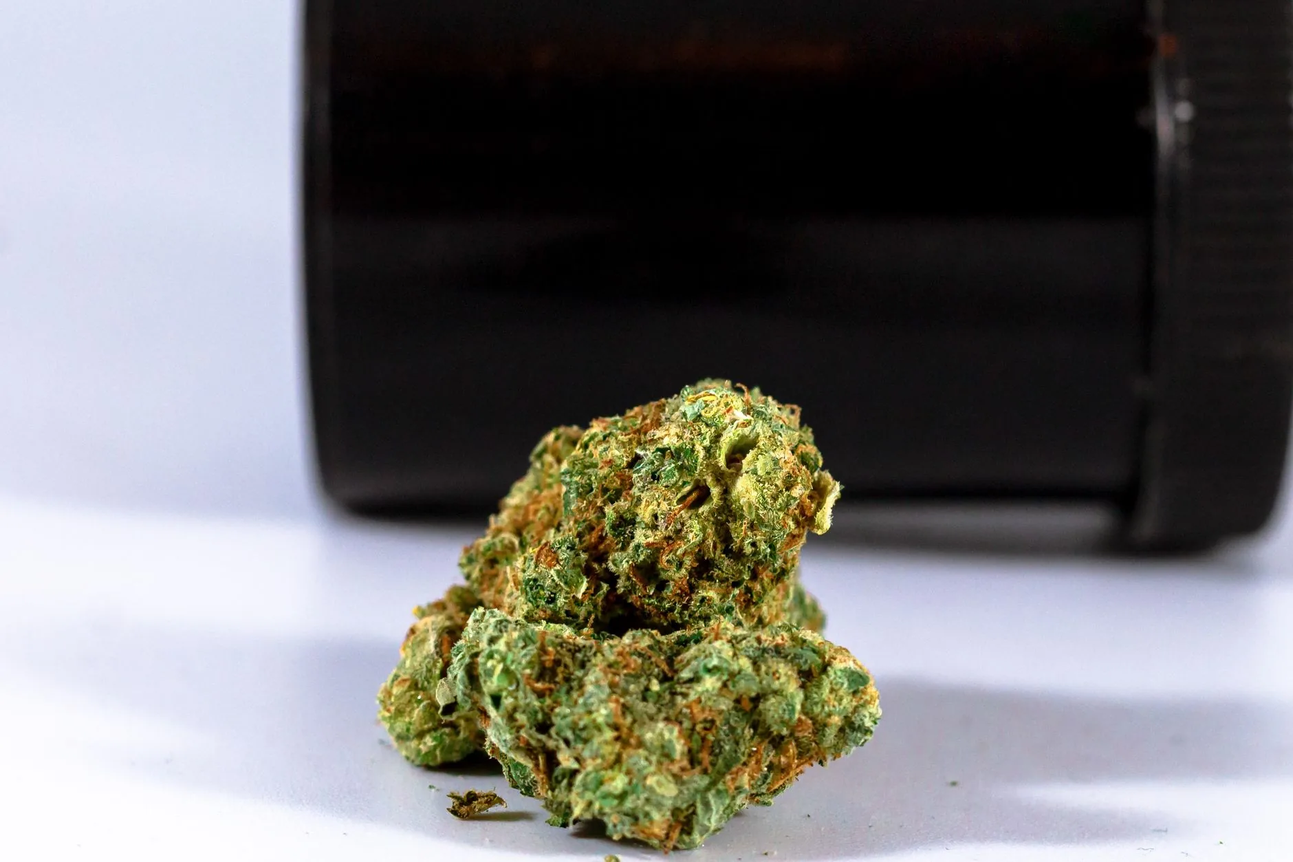 Bedrocan falha: cannabis medicinal está em risco nas farmácias italianas