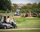 Juiz suspende remoção de árvores em clube de golfe histórico