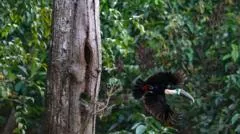 Defesa ambiental registra recorde de redução no desmatamento amazônico