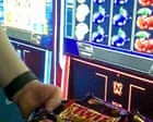 Slot Farms: Como £100 Desaparece em Minutos