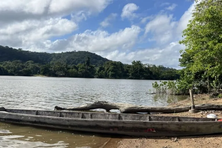 Comunidade Wayana luta contra mineração ilegal na Amazônia