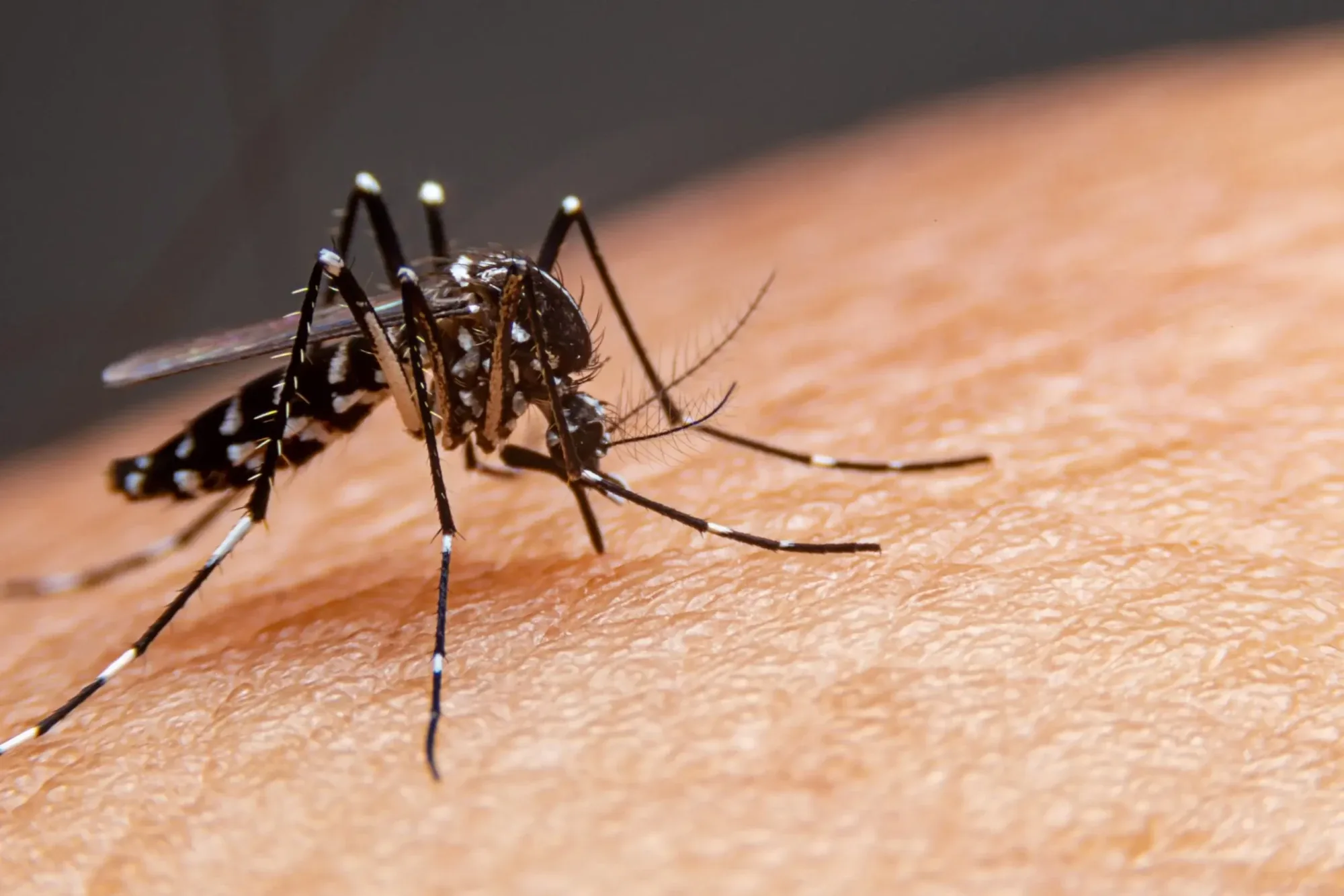 Goiás registra mais de 5,4 mil internações por dengue