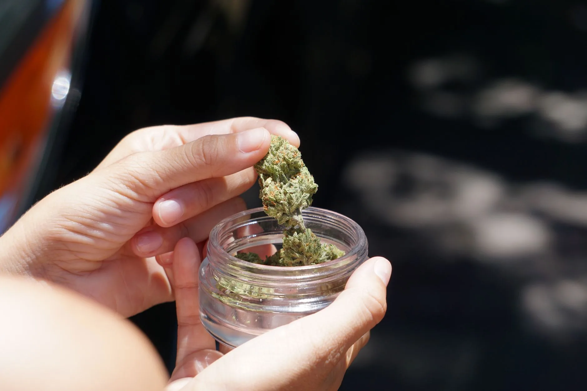 Contexto: A Cannabis Medicinal e Seus Desdobramentos